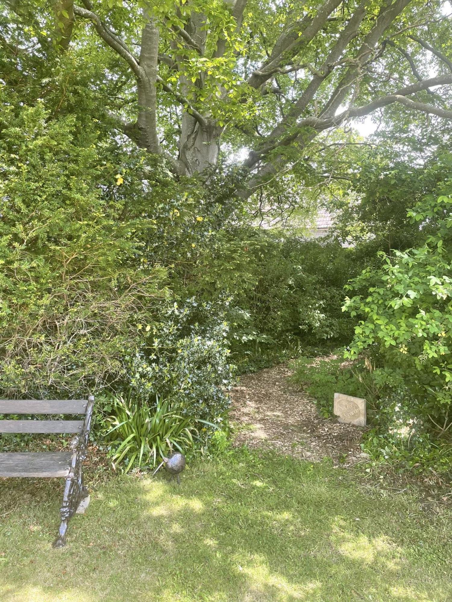 The Mount Somerton Retreat - Nr Bruton, Glastonbury, The Spectacular Wells Cathedral, Millfield School, Leonardo Helicopters, Yeovilton Buitenkant foto