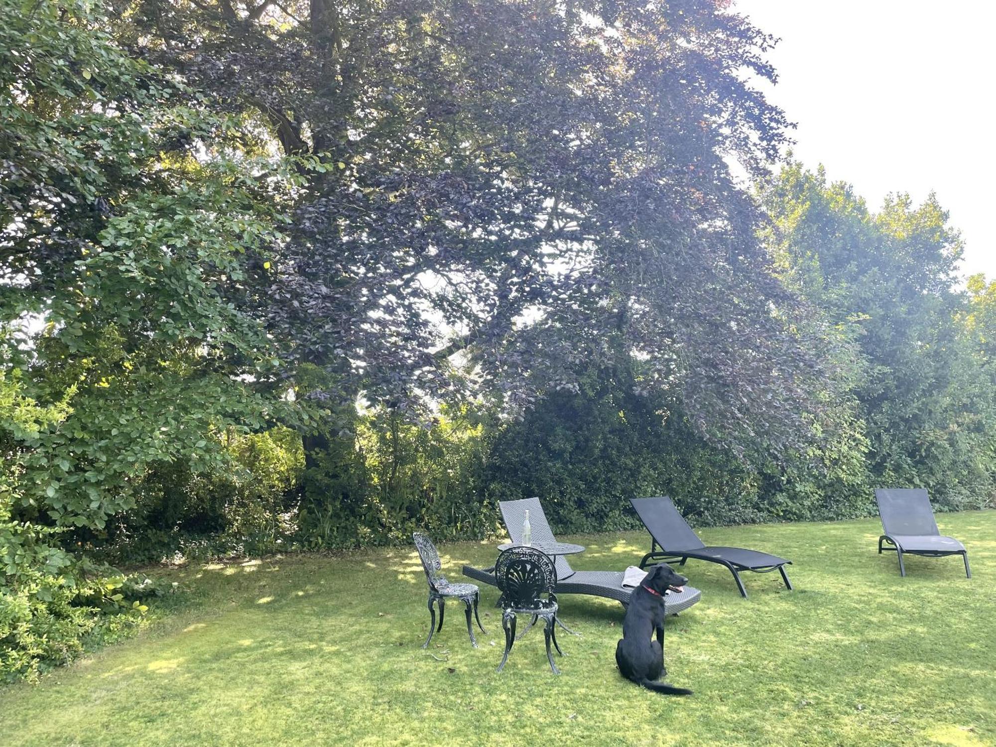 The Mount Somerton Retreat - Nr Bruton, Glastonbury, The Spectacular Wells Cathedral, Millfield School, Leonardo Helicopters, Yeovilton Buitenkant foto